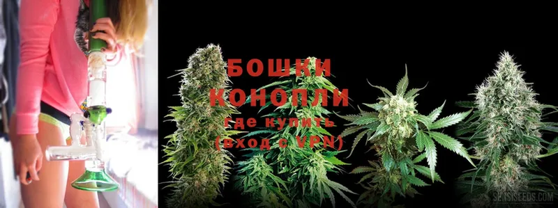 Конопля SATIVA & INDICA  Гуково 